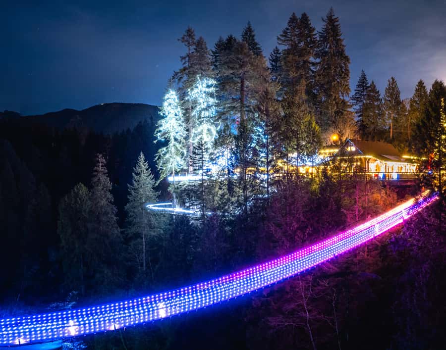 Vancouver: Capilano Bridge, Cleveland Dam & Lynn Canyon Tour - Capilano Suspension Bridge Park: the 137-metre crossing plus treetop experiences