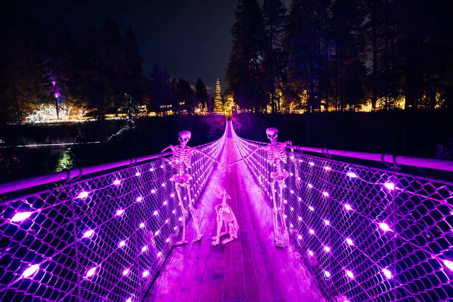 Vancouver: Capilano Bridge, Cleveland Dam & Lynn Canyon Tour - Capilano Lush Rainforest and the sound of the river