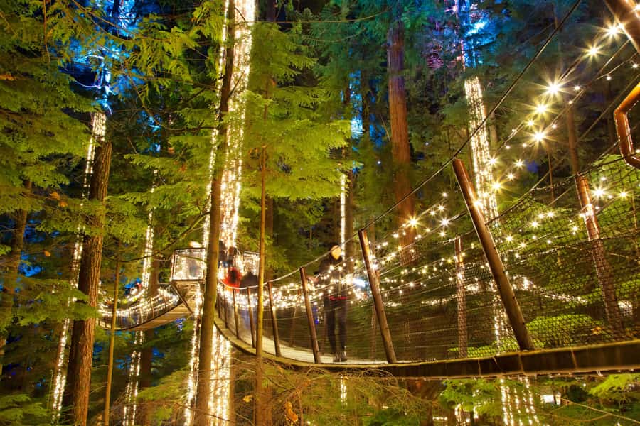 Vancouver: Capilano Bridge, Cleveland Dam & Lynn Canyon Tour - Group size and guide style, what it means for your day