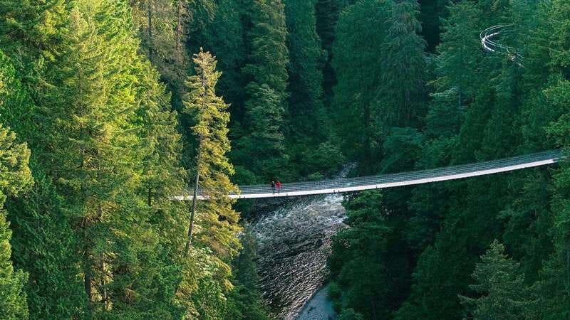 Vancouver: Capilano Suspension Bridge Park Ticket - Cliffwalk on Glass: 16 Anchor Points and Two Platforms