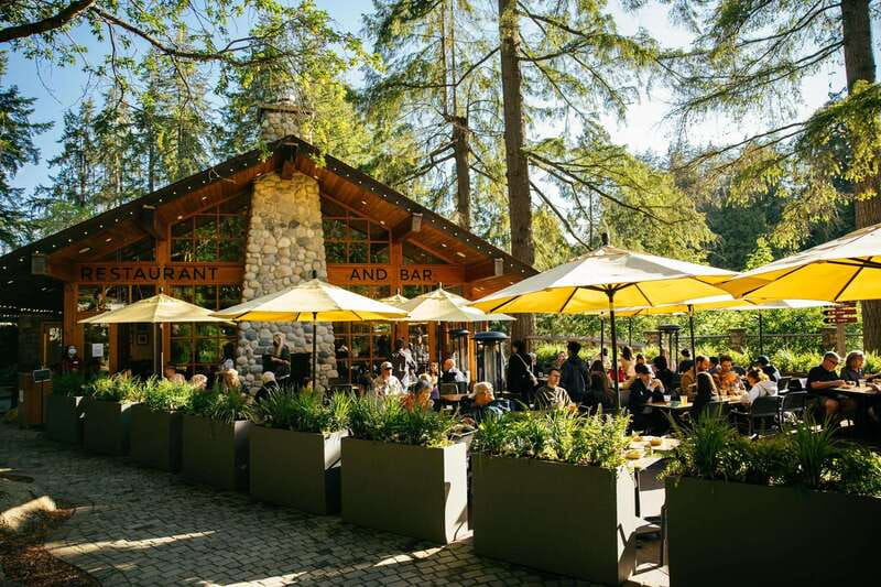 Vancouver: Capilano Suspension Bridge Park Ticket - Treetops Adventure: Aerial Views Above the Coastal Rainforest