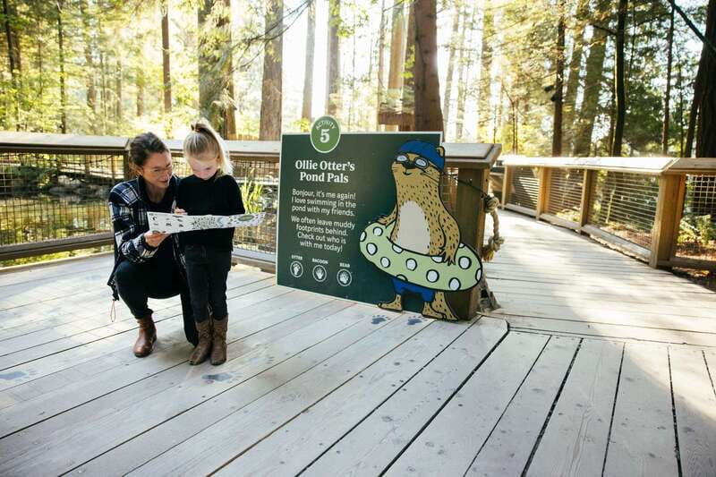 Vancouver: Capilano Suspension Bridge Park Ticket - Getting Your Bearings on the Grounds: 27 Acres, Not One Single Photo Spot