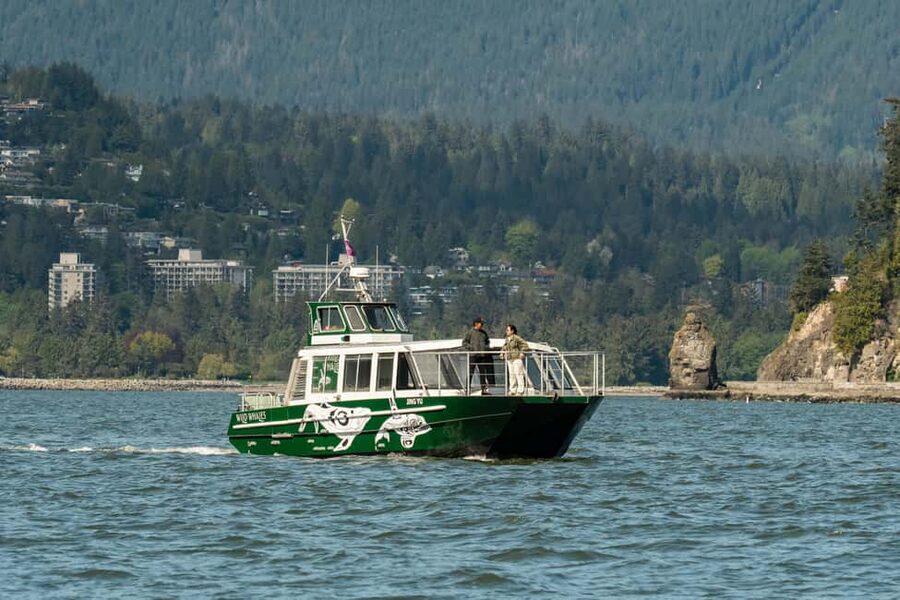 Vancouver: Catamaran Whale Watching Tour, Granville Island - Granville Island boarding with a clear starting plan