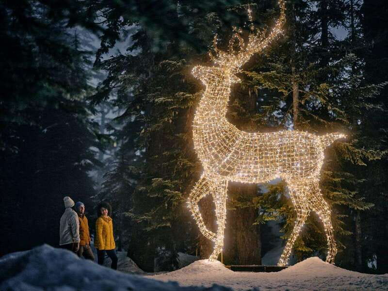 Vancouver: Christmas Lights Karaoke Trolley Tour - Small Practical Details: Keeping Warm, Using Breaks, and Snacks