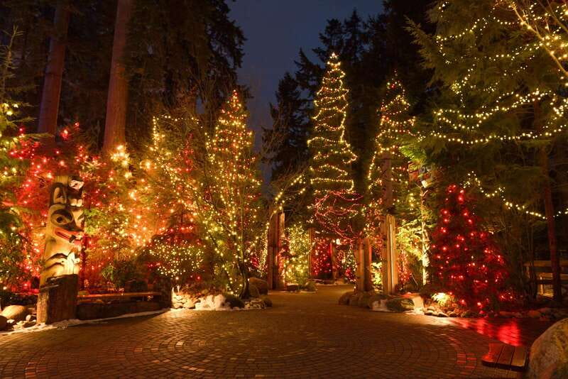 Vancouver: Christmas Lights Karaoke Trolley Tour - Charity With Real Local Roots: The Burn Fund Piece