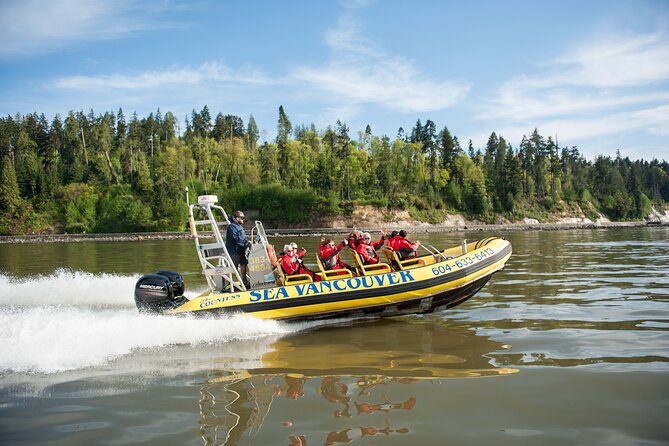 Vancouver City and Nature Waterfront Sightseeing Boat Tour - Wildlife Odds: Bald Eagles and Seals, Plus the Whale Question