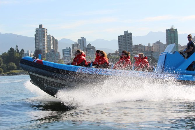 Vancouver City and Seal Colony Scenic Boat Tour - Price and value at about $74.35 per person