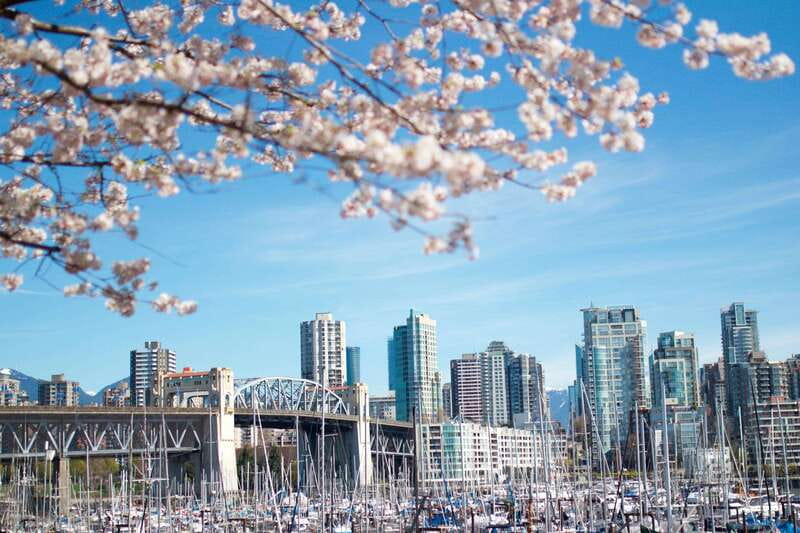 Vancouver: City & Granville Island Sightseeing Trolley Tour - Quick highlights before you board