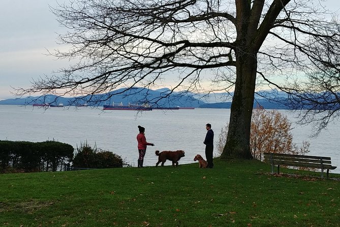 Vancouver City Highlights Explorer Private Tour - Granville Island Market, Plus Yaletown’s Train 374