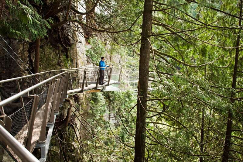 Vancouver: City+Lookout+Capilano Suspension Bridge Ticket - Key highlights that matter