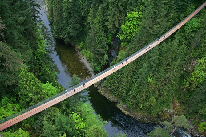 Vancouver City Sightseeing Tour: Capilano Suspension Bridge & Vancouver Lookout - A one-day Vancouver route built for first-time orientation