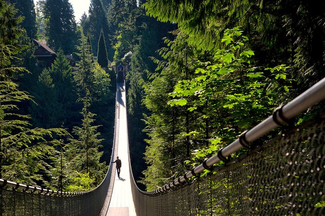 Vancouver City Sightseeing Tour: Capilano Suspension Bridge & Vancouver Lookout - Capilano Suspension Bridge Park: bridge, cliffside walk, and tree canopy