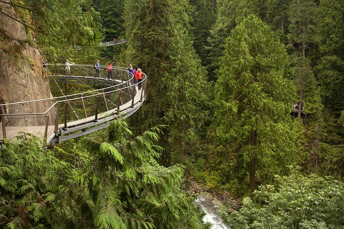 Vancouver City Sightseeing Tour: Capilano Suspension Bridge & Vancouver Lookout - Price and what you actually get for your money