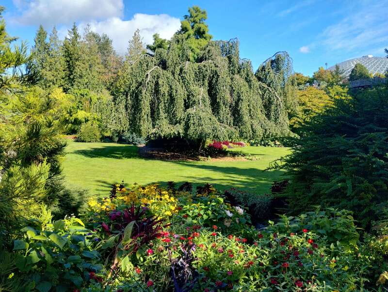 Vancouver City Tour: The Only Full Small-Group Car Tour - Why this Vancouver tour feels different from the usual buses