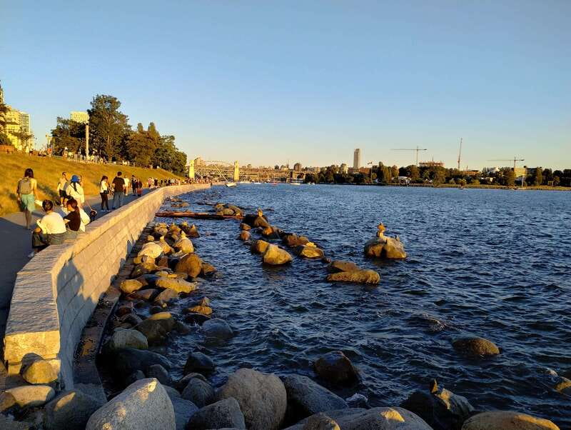 Vancouver City Tour: The Only Full Small-Group Car Tour - Queen Elizabeth Park, Vancouver’s highest point, and why it matters