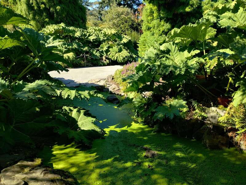 Vancouver City Tour: The Only Full Small-Group Car Tour - English Bay and the Inukshuk: coast views with an iconic photo target