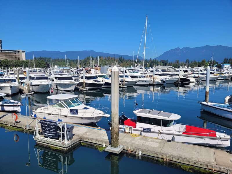 Vancouver City Tour: The Only Full Small-Group Car Tour - Timing, pacing, and what to expect in 5 hours