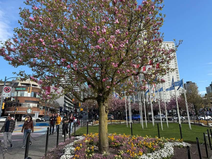 Vancouver City Tour+VipCar+Stanley Park+ChinaTown/SmallGroup - Lions Gate Bridge and Prospect views: the park meets the city