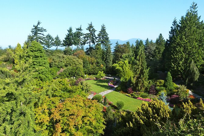 Vancouver City Tour with Admission to Lookout Tower - Granville Island, Market Time for Lunch, Shopping, and Creative Finds