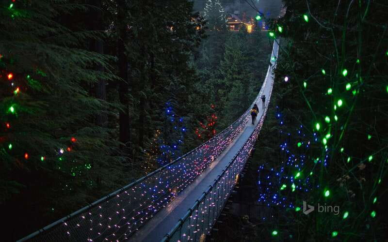 Vancouver: City Tour with Capilano Suspension Bridge - Key highlights worth your attention