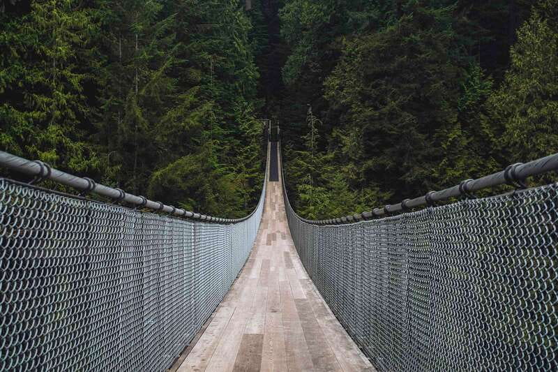 Vancouver: City Tour with Capilano Suspension Bridge - Stanley Park: 40 minutes to get your bearings fast