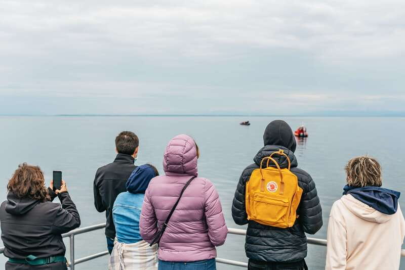 Vancouver: Covered Whale Watching Adventure with Free Photos - Wildlife Sighting Expectations: What You Might See and How It Usually Plays Out