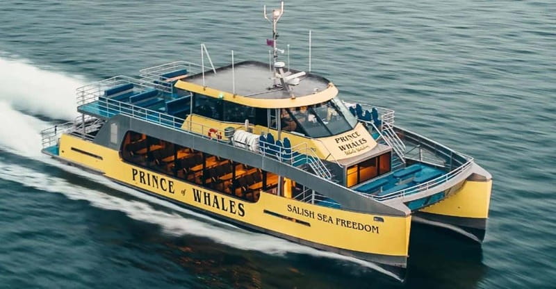 Vancouver: Covered Whale Watching Adventure with Free Photos - How Photo Viewing Works, and Why the Free Photos Feel Like a Smart Deal