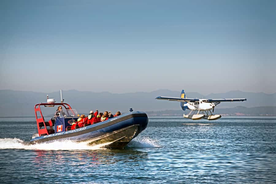 Vancouver: Day Trip to Victoria Seaplane with Whale Watching - Arriving in Victoria: how the handoff to the whale tour works