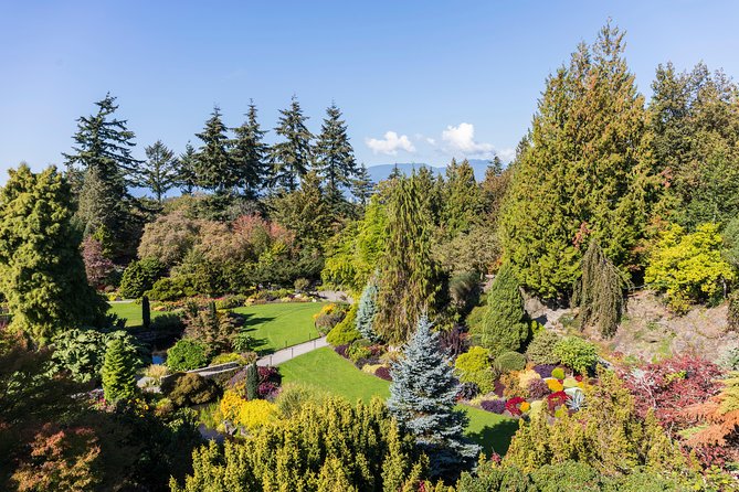 Vancouver Evening Tour: Stanley Park & English Bay Photostops - Audio, seating, and comfort: how to avoid the common night-tour annoyances