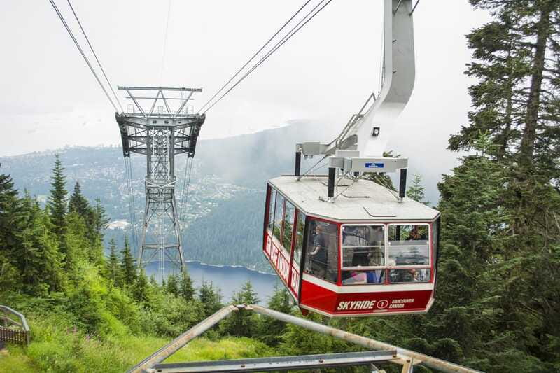 Vancouver Grouse Mountain Express With Gondola Ride - Lumberjack show, Birds in Motion, and other activities