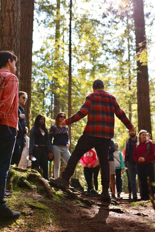 Vancouver: Guided Hiking Highlights at Grouse & Lynn Canyon - Value for $130: What You Get Beyond the Two Hikes