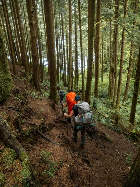 Vancouver: Guided Hiking Highlights at Grouse & Lynn Canyon - Grouse Mountain Time: Bears, Lumberjacks, and Birds of Prey