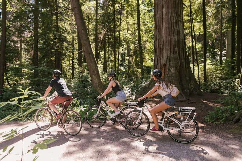 Vancouver: Half-Day City Highlights E-Bike Tour Age 16+ - Key highlights you will feel right away