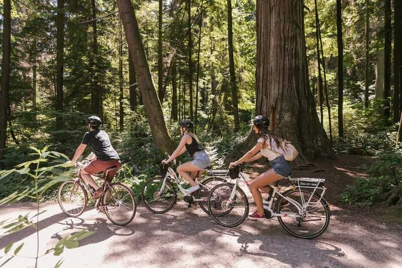 Vancouver: Half-Day City Highlights E-Bike Tour Age 16+ - False Creek waterfront, Yaletown, and Olympic Village