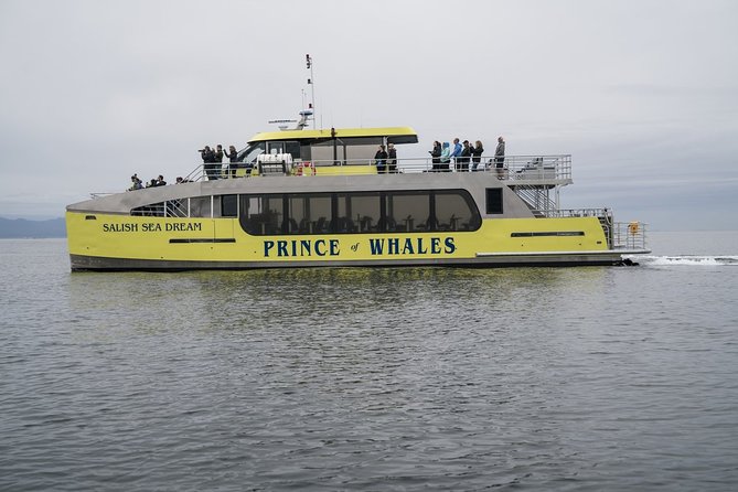 Vancouver Half-Day Whale Watching Adventure with Free Photos - Granville Island check-in, boarding, and why this start time matters