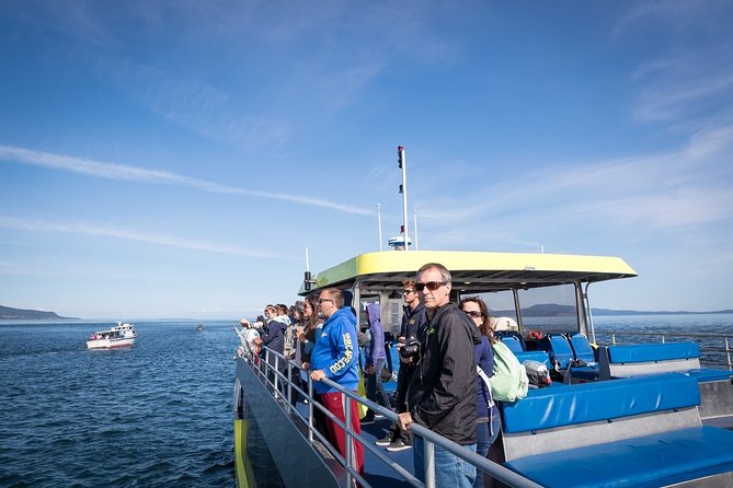Vancouver Half-Day Whale Watching Adventure with Free Photos - Price and value at $193.58: what you are paying for