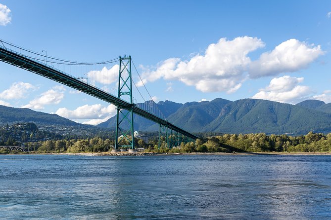 Vancouver Half-Day Whale Watching Adventure with Free Photos - Heated comfort, hot drinks, and the free photos that change the vibe