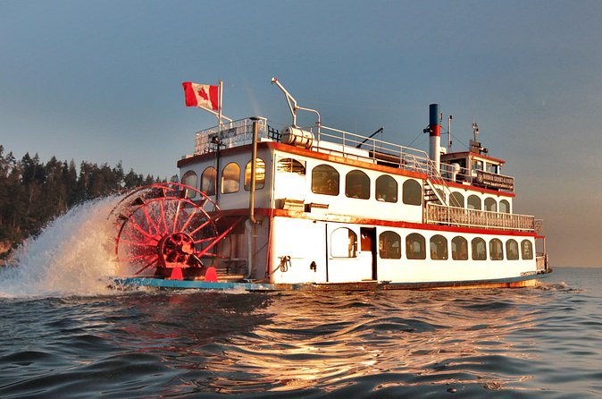 Vancouver Harbor Sightseeing Cruise - Should you book? My quick decision guide