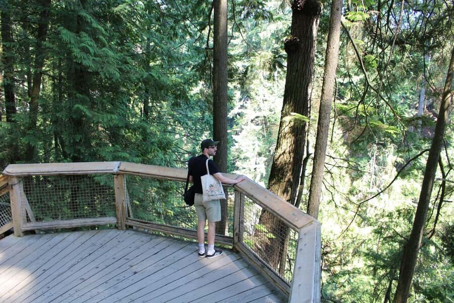 Vancouver Highlights: Capilano Bridge & Granville Island - A 5-hour Vancouver highlights tour that moves fast (but makes sense)