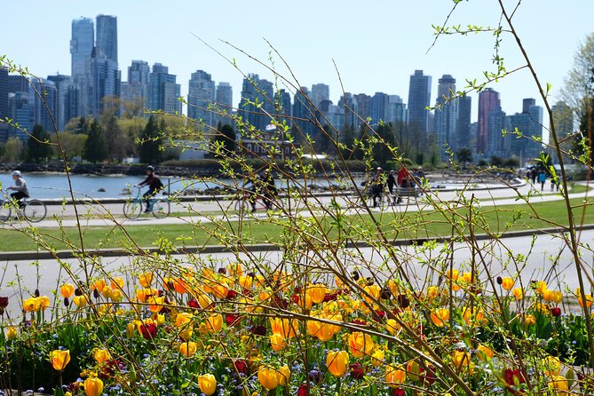 Vancouver Hop On Hop Off Trolley Tour - Stanley Park: the route that does the heavy lifting