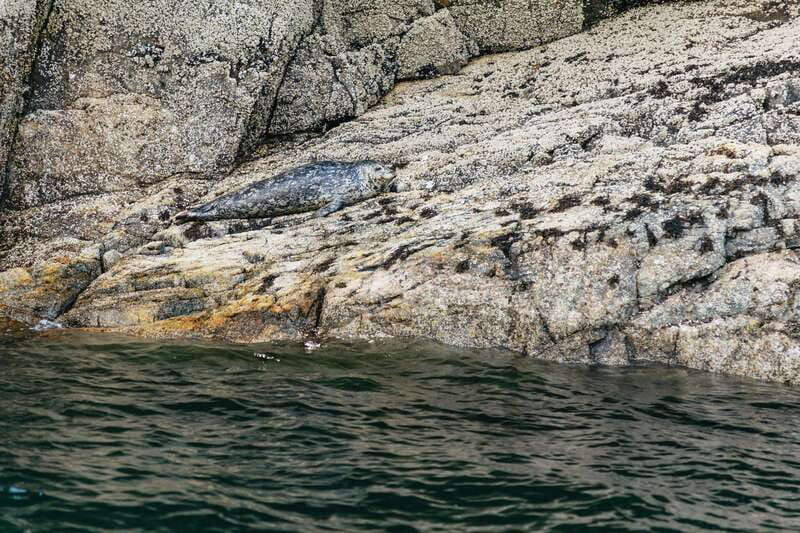 Vancouver: Indian Arm and Granite Falls Zodiac Boat Tour - Under Lion’s Gate Bridge, North Shore Mountains, and a Shipping-World Lesson