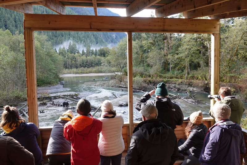 Vancouver Island: Full-Day Grizzly Bear Tour at Toba Inlet - Lunch and snacks: the included comfort that keeps you watching longer