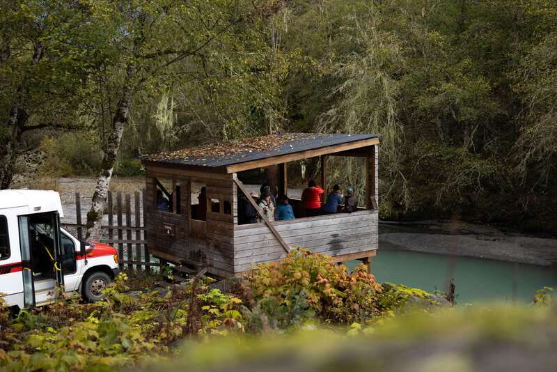 Vancouver Island: Full-Day Grizzly Bear Tour at Toba Inlet - Price and value: what $555.10 buys you on this kind of day