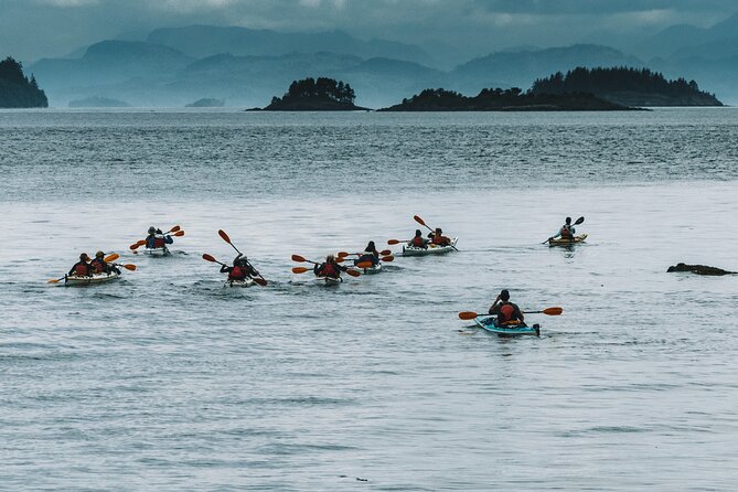 Vancouver Island: Full-Day Kayak Tour from Telegraph Cove - Key things I’d circle on your planning list