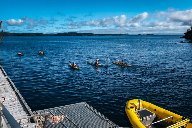 Vancouver Island: Full-Day Kayak Tour from Telegraph Cove - Telegraph Cove at 10:15 am: the moment the day starts