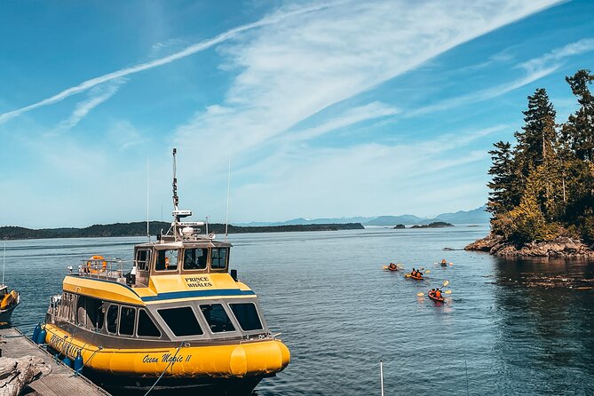 Vancouver Island: Full-Day Kayak Tour from Telegraph Cove - Price and what you truly get for $166.11