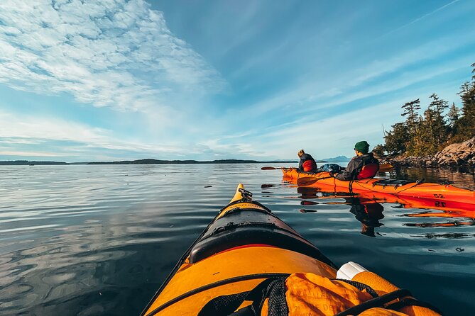 Vancouver Island: Full-Day Kayak Tour from Telegraph Cove - Gear included, but your comfort still depends on you