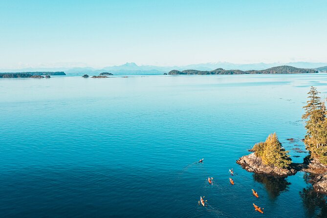 Vancouver Island: Full-Day Kayak Tour from Telegraph Cove - Johnstone Strait paddling: tidal shallows, eagles, and the wildlife “maybe list”