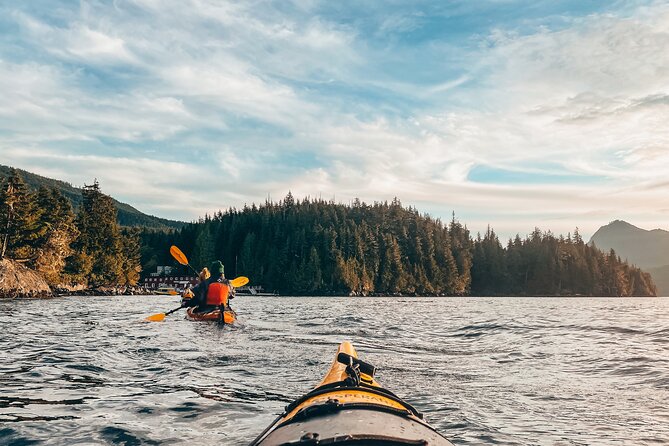 Vancouver Island: Half-Day Kayak Tour from Telegraph Cove - Key points