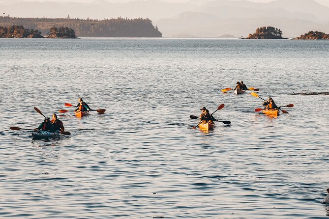 Vancouver Island: Half-Day Kayak Tour from Telegraph Cove - Telegraph Cove and Johnstone Strait: The setting that does half the work
